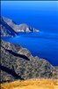 Catalina Island Beauty